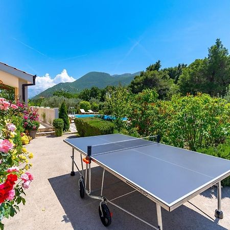 Villa Ana - 3 Bedroom Villa With Private Pool And Unspoiled Natural Environment Kučiće エクステリア 写真